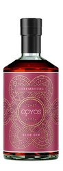 vins et liqueurs